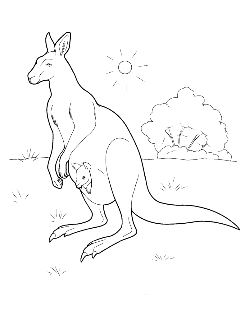 Coloring page - Canguru na Austrália