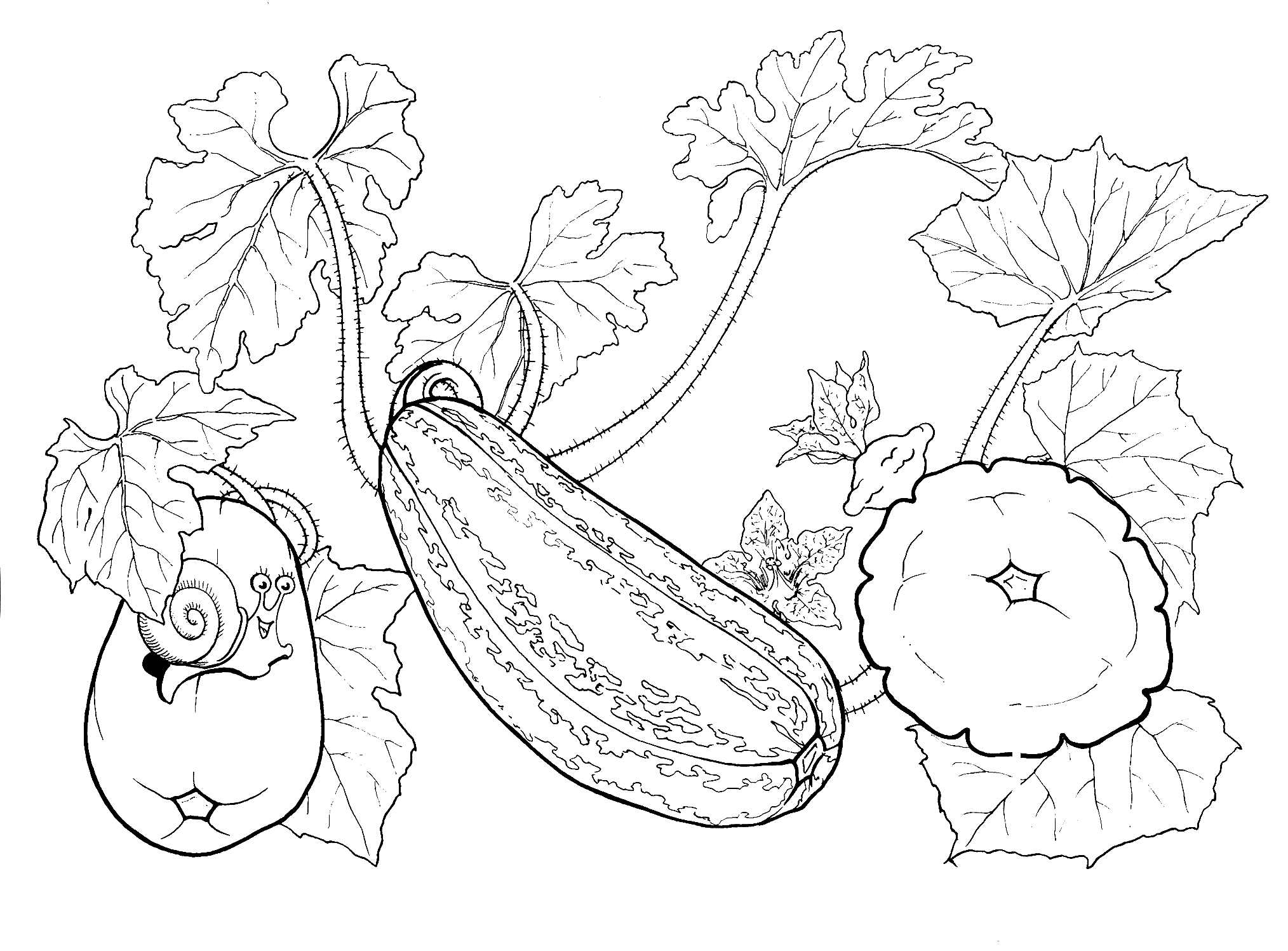 Desenho de Quadro de árvore para colorir - Tudodesenhos