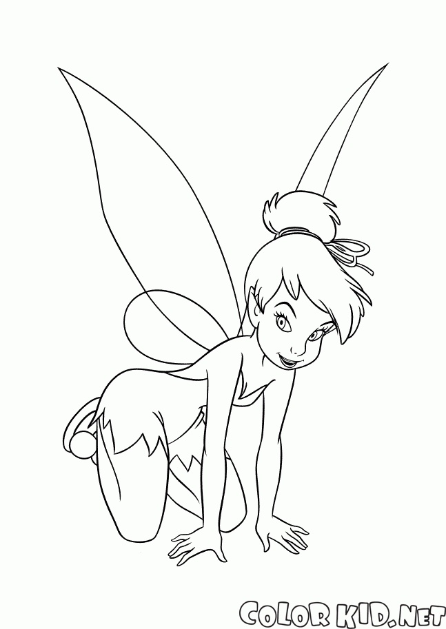 Mysterious Tinker Bell