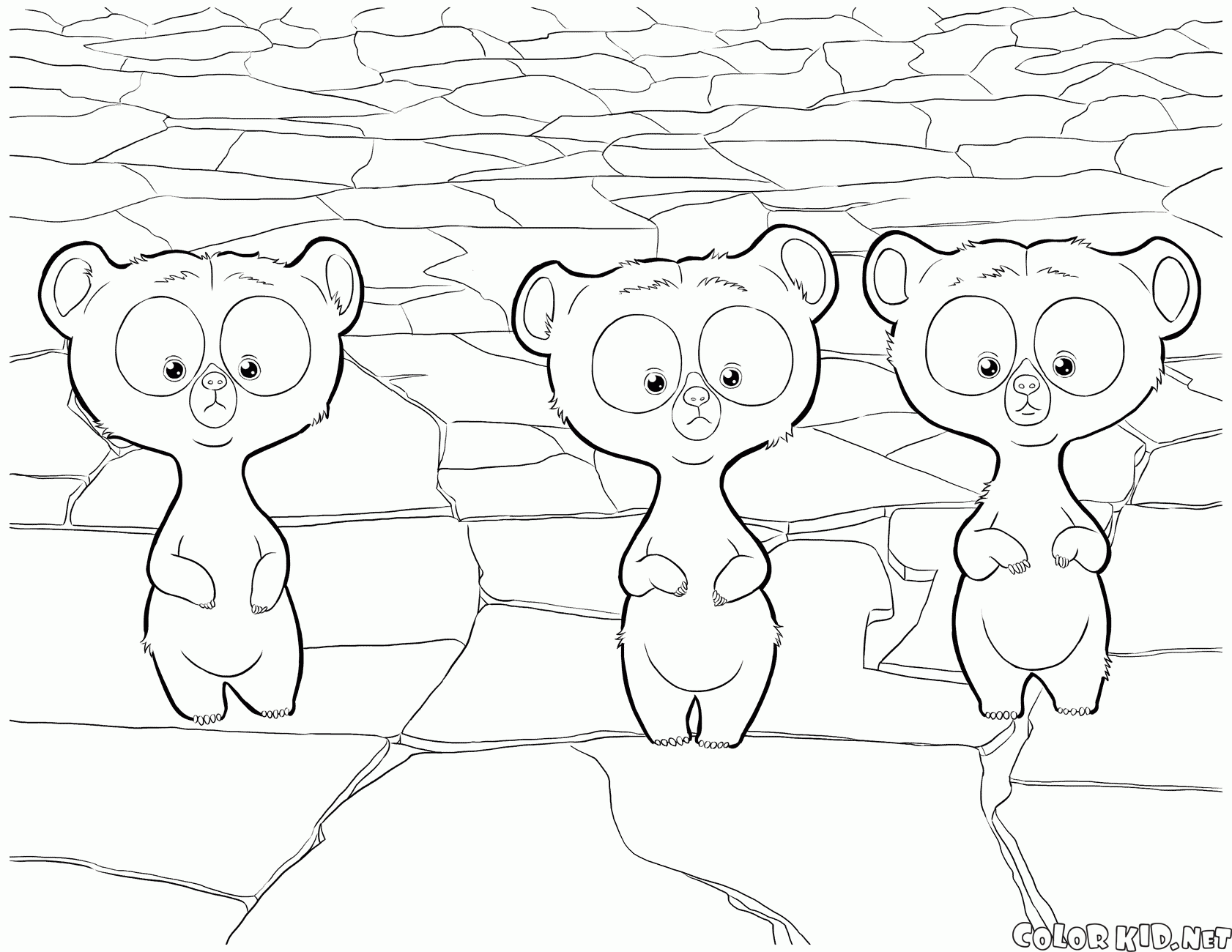 Os trigêmeos tornaram-se filhotes de urso