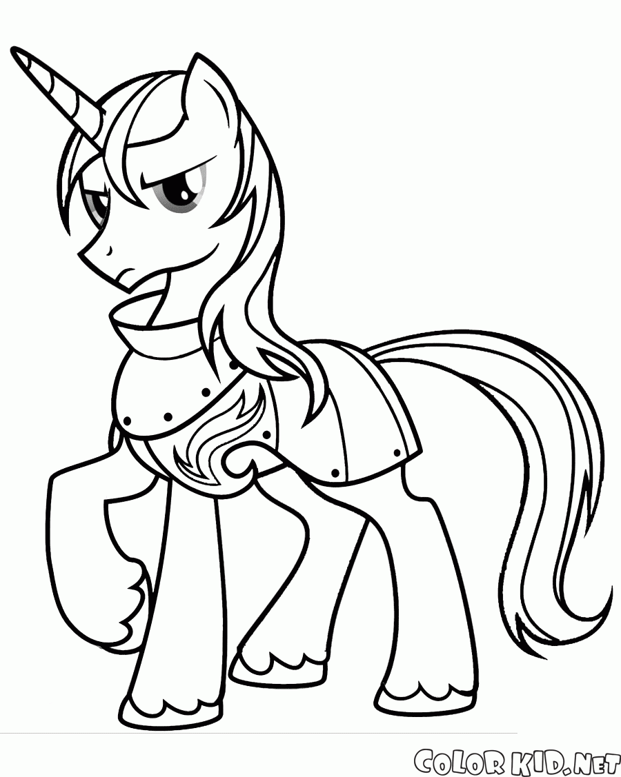 Pony armadura de brilho