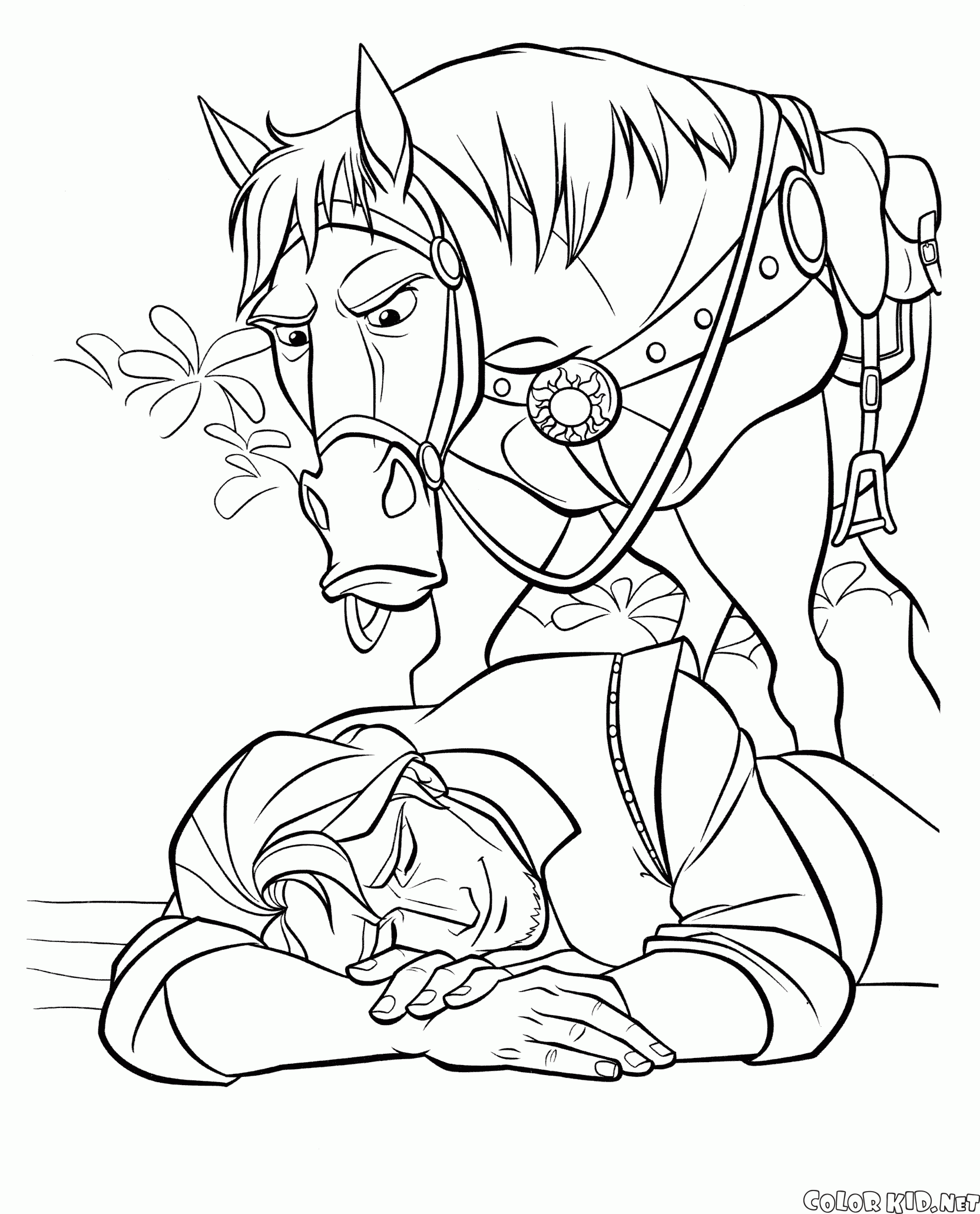 Cavalo e Flynn