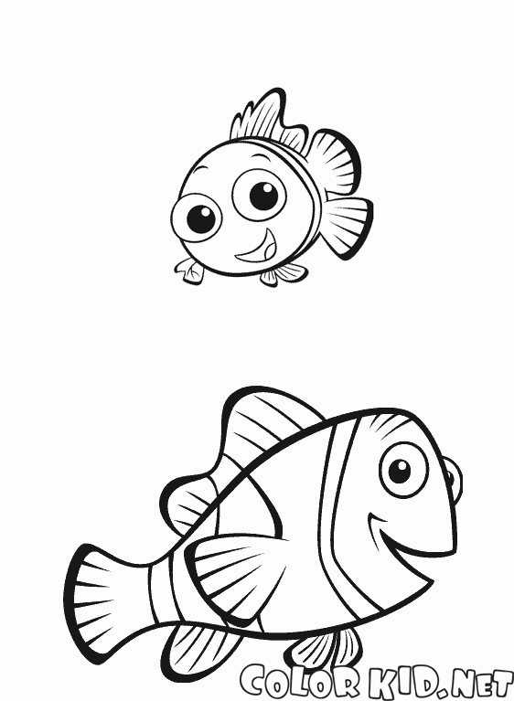 Nemo e seu pai