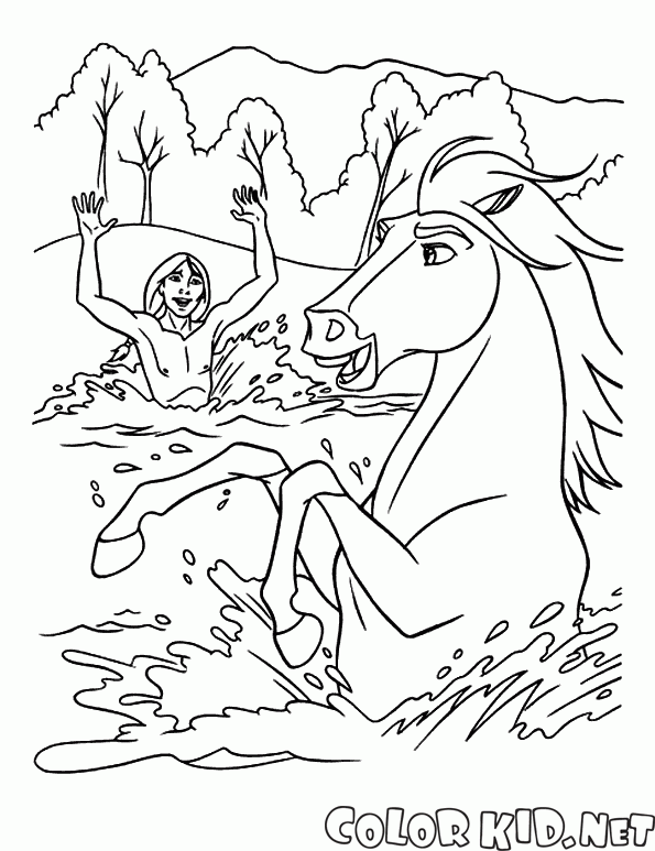 Banhando o cavalo