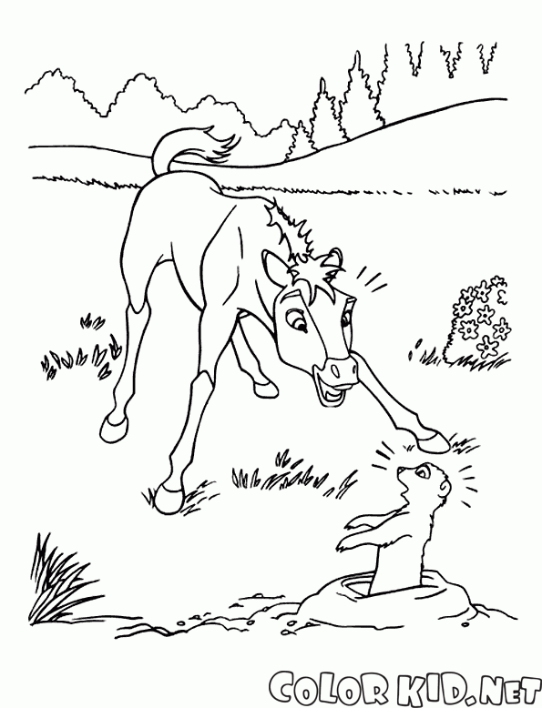 Cavalo pulando com desenhos de menina para colorir - desenhos de cavalos  para colorir - desenhos para colorir para crianças e adultos