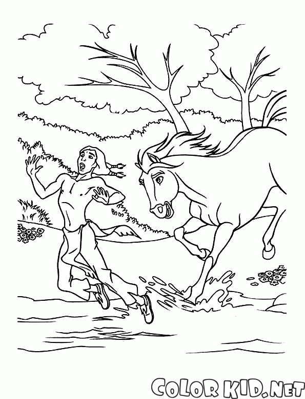 Coloring page - Banhando o cavalo