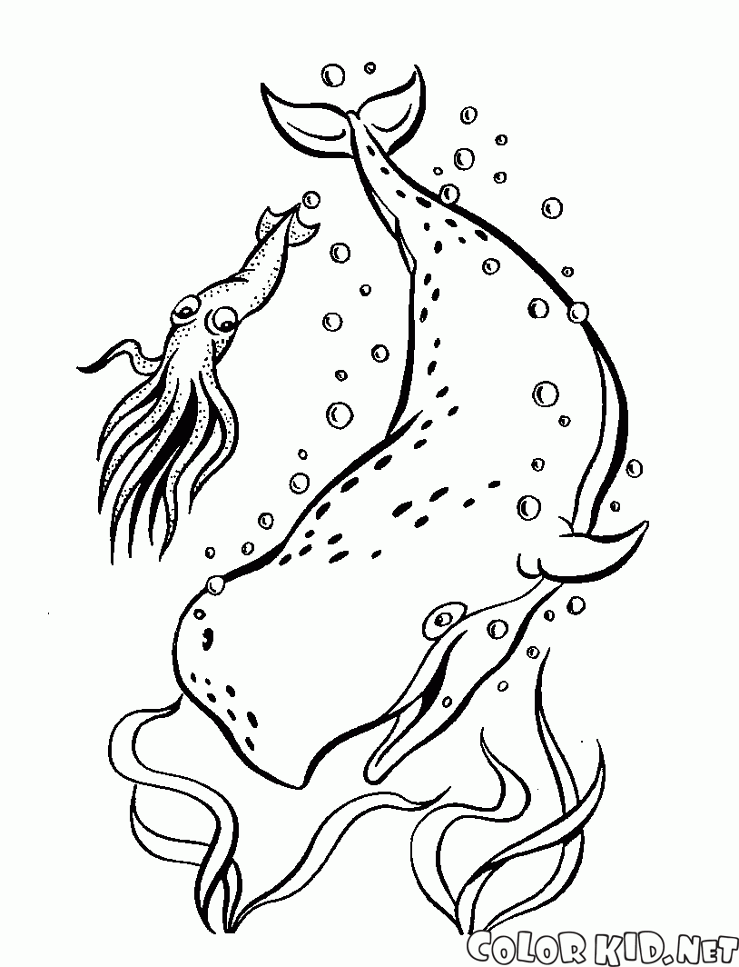 Coloring page - Baleia no Oceano