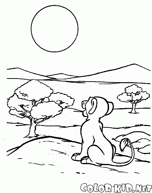 Simba e o sol