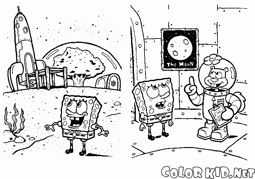 Desenhos colorir bob esponja