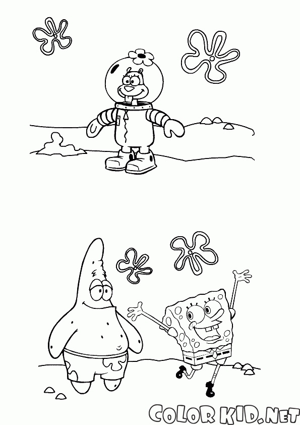 Amigos Sponge Bob