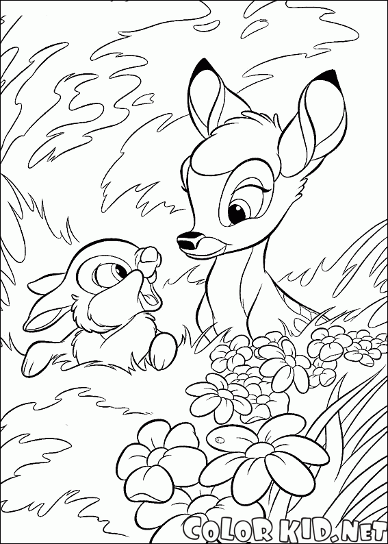 Hare e Bambi