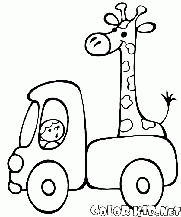 Editar Giraffe de carro