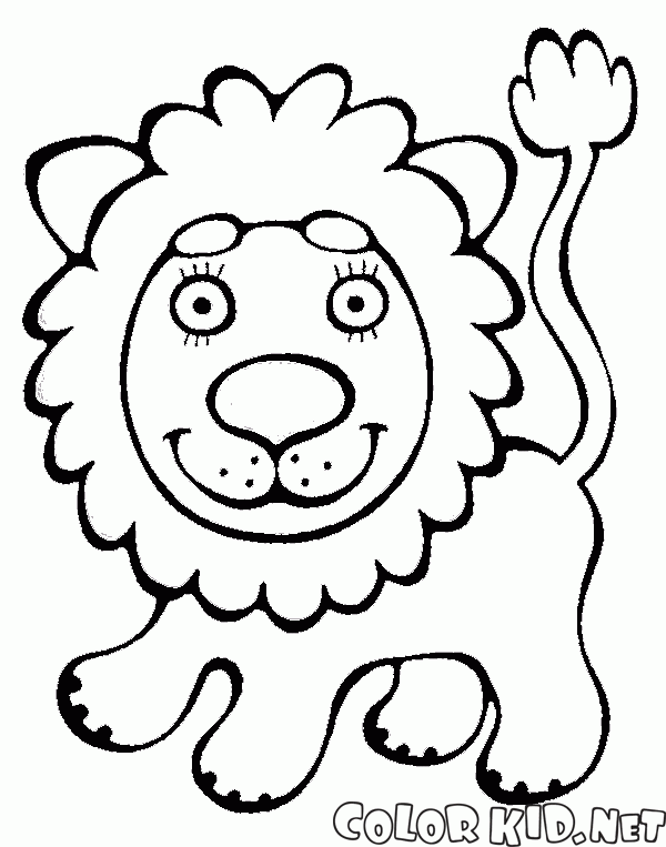 Bom Lion