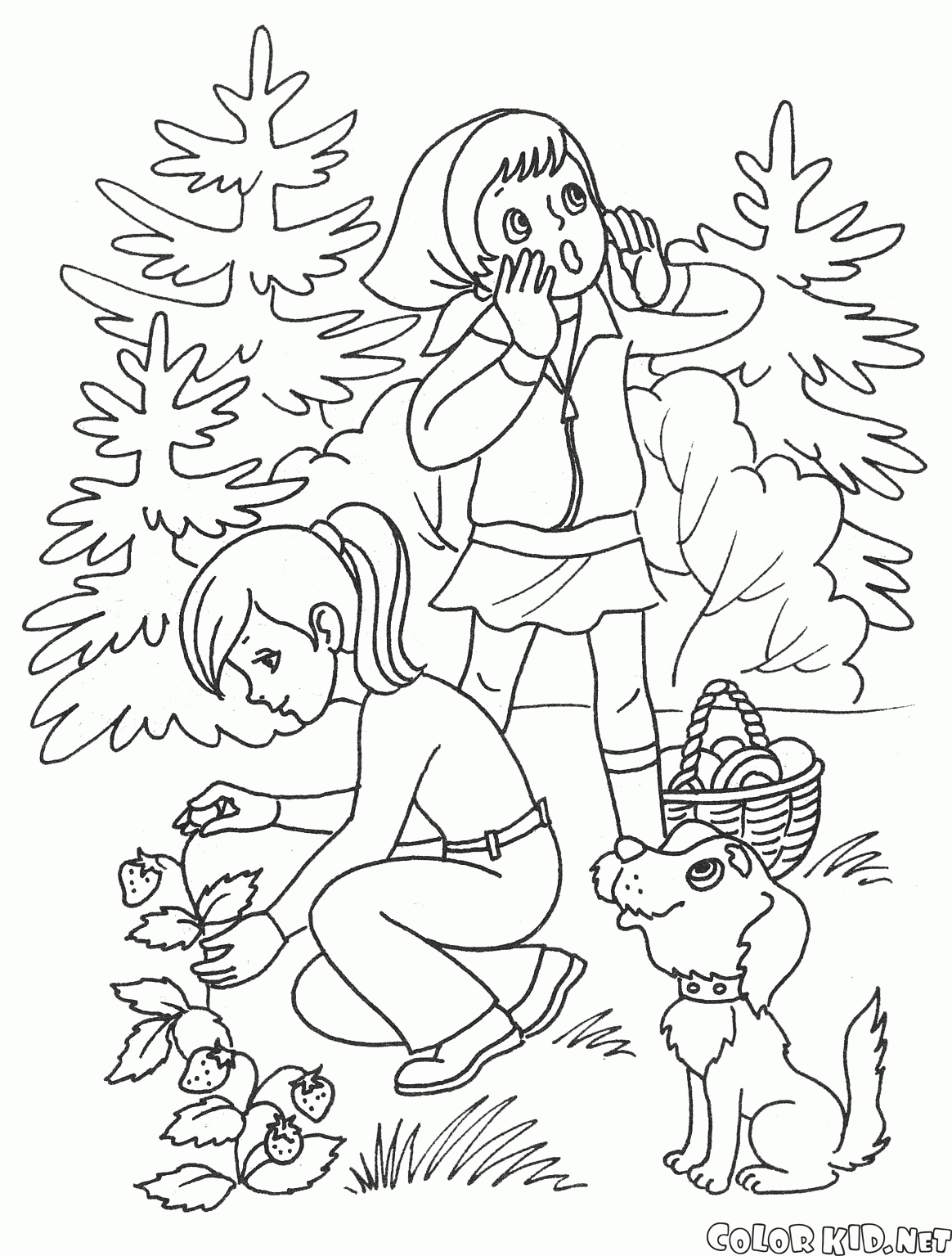 Crianças no verão na floresta