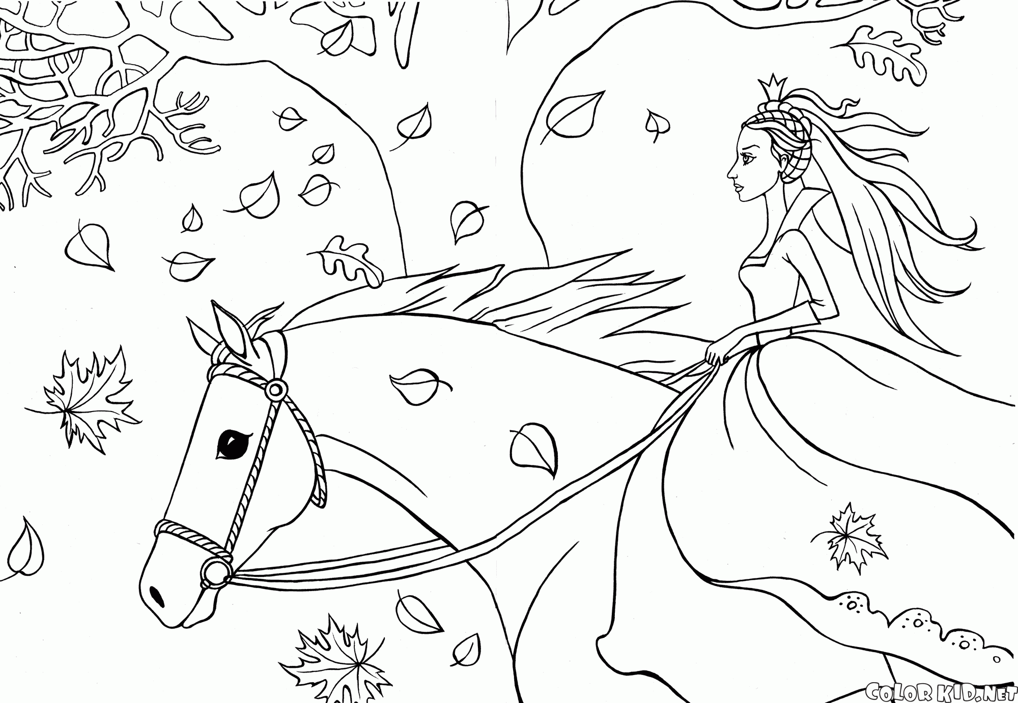 Coloring page - Cavalo no prado