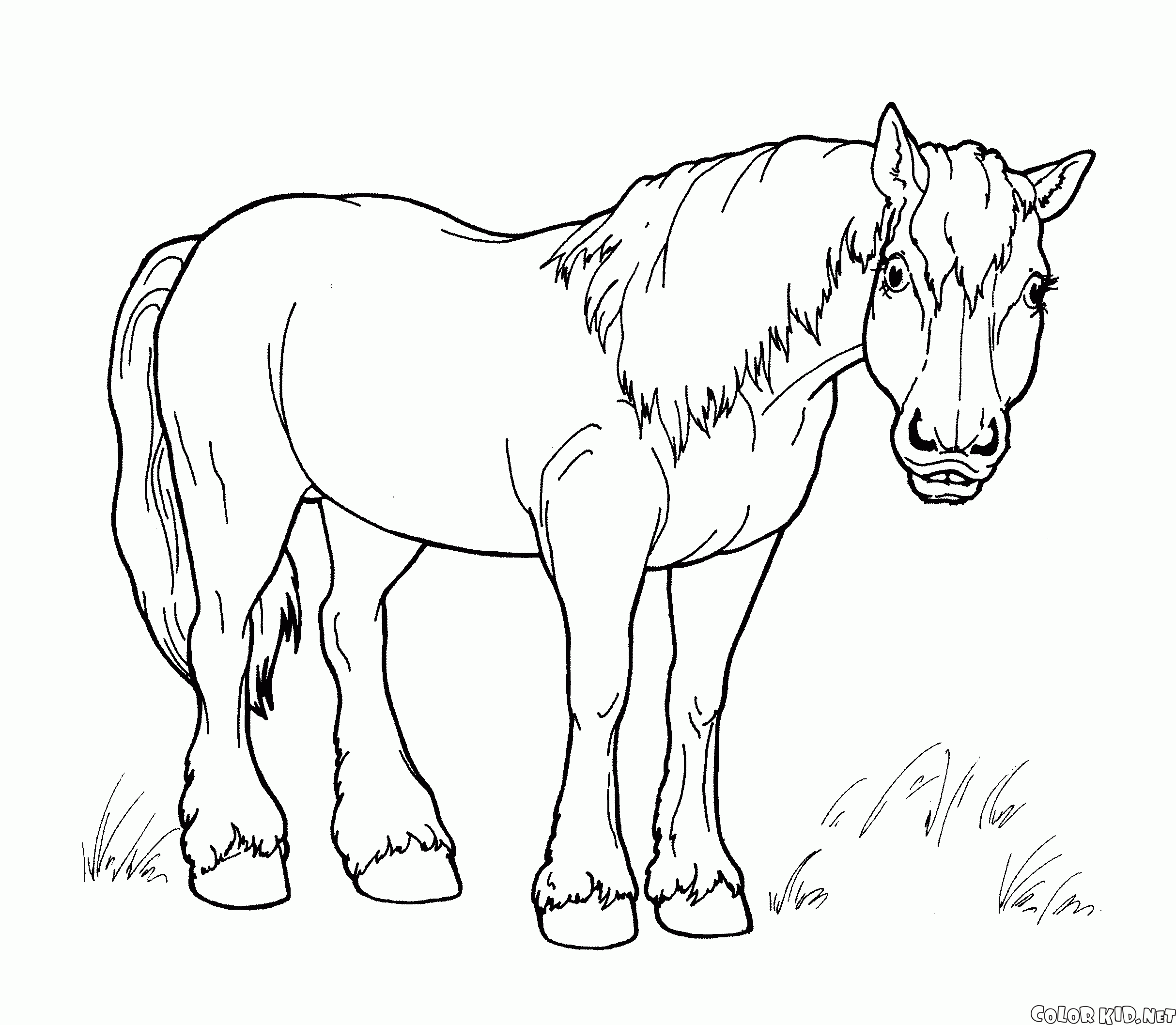 Cavalo em um brinquedo de pau um brinquedo velho uma imagem para colorir  para crianças