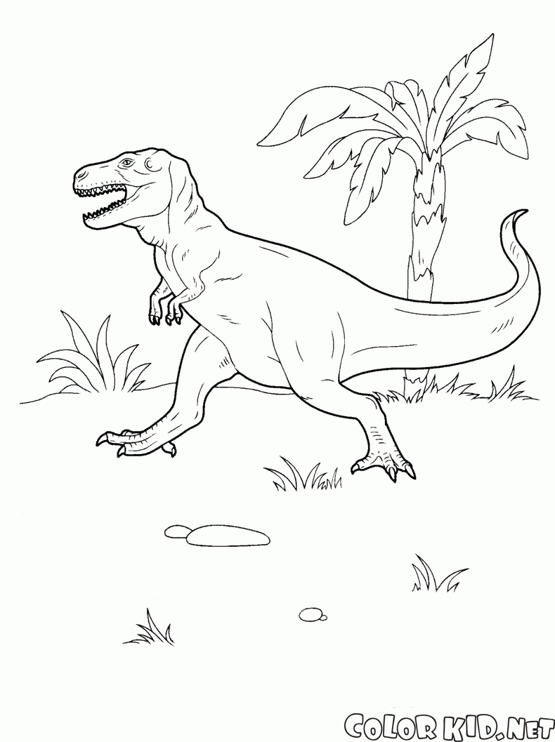 Coloring page - Tyrannosaurus