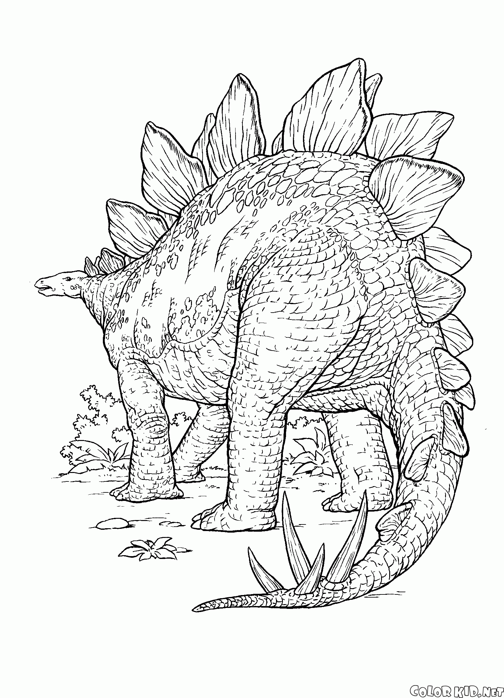 Dinossauro com espinhos afiados