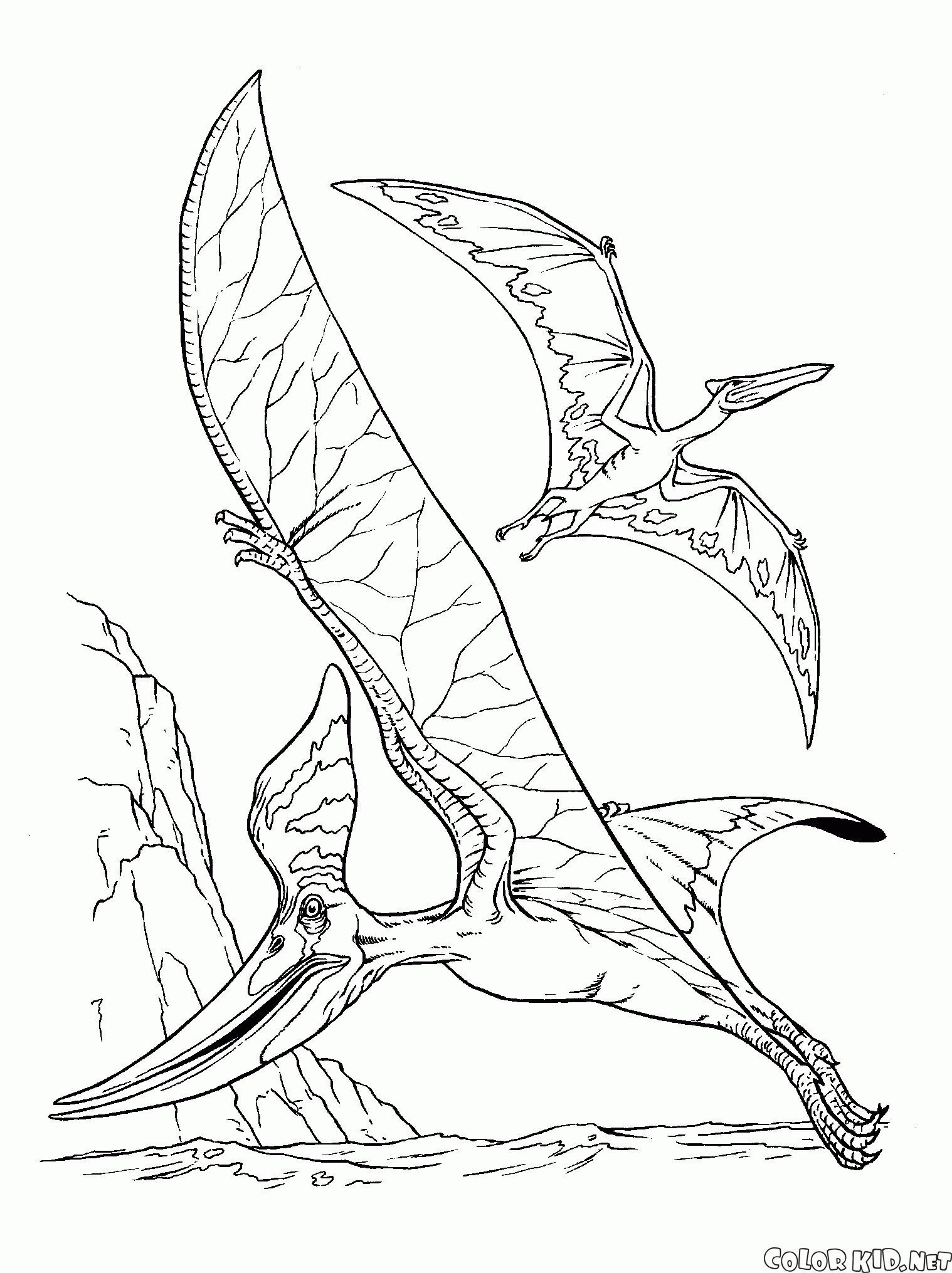 Pteranodon e um pterodáctilo