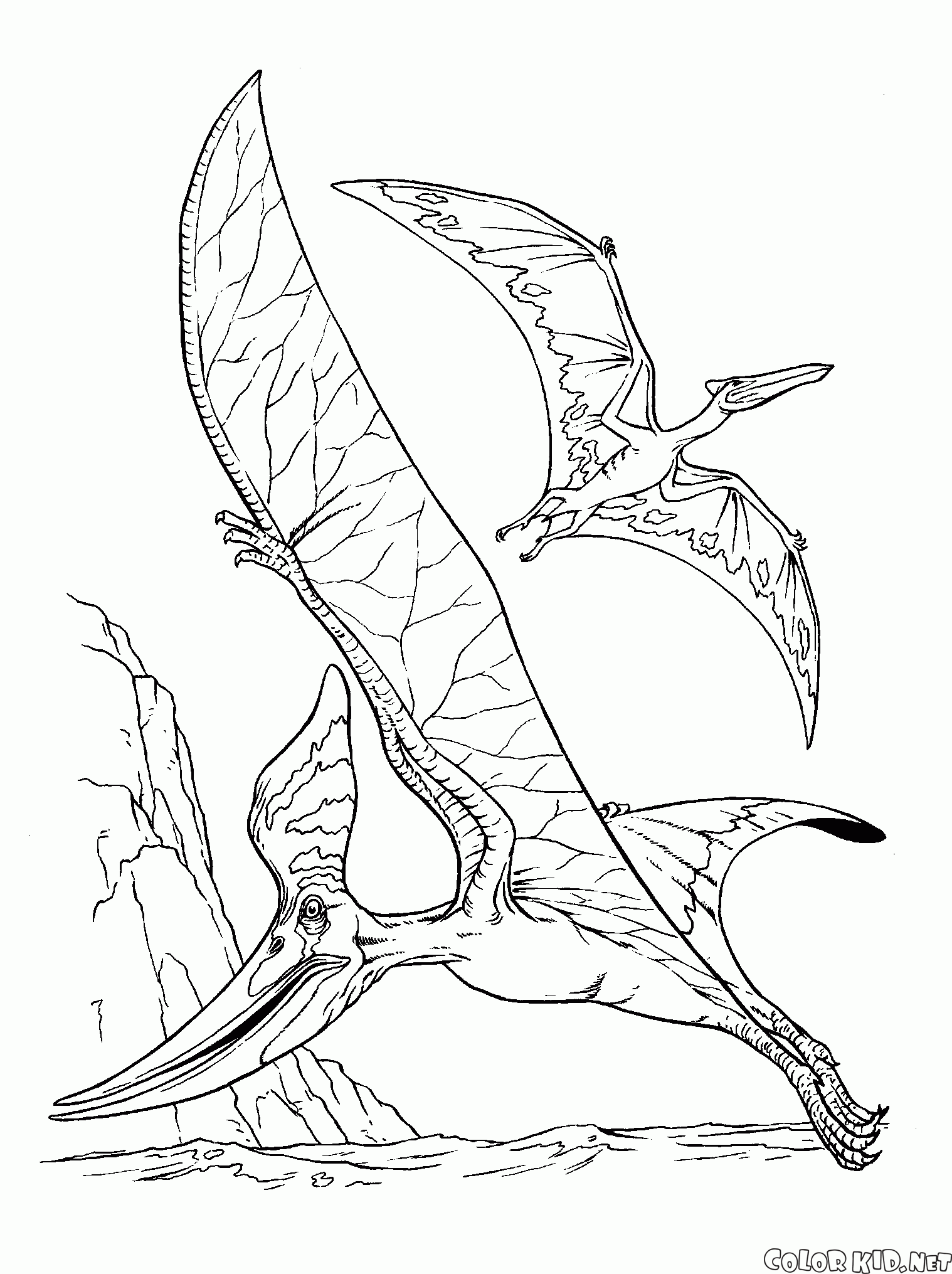 Desenhos de Pterodáctilo para colorir - Bora Colorir