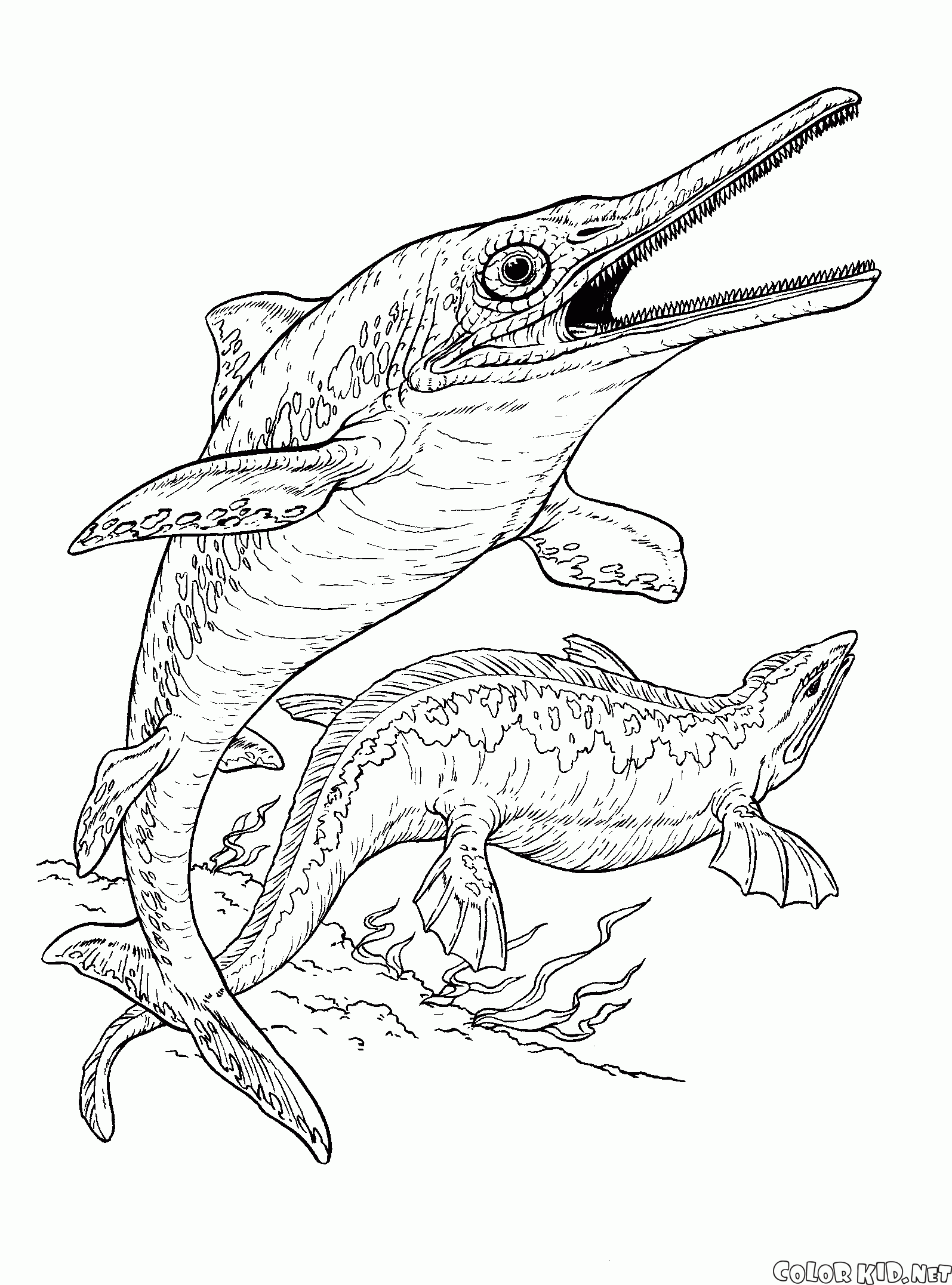 Ichthyosaur e plesiossauro