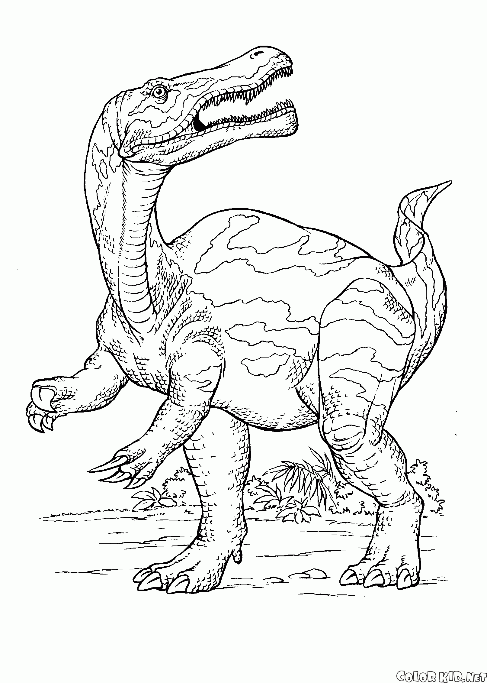 Caça Dinosaur