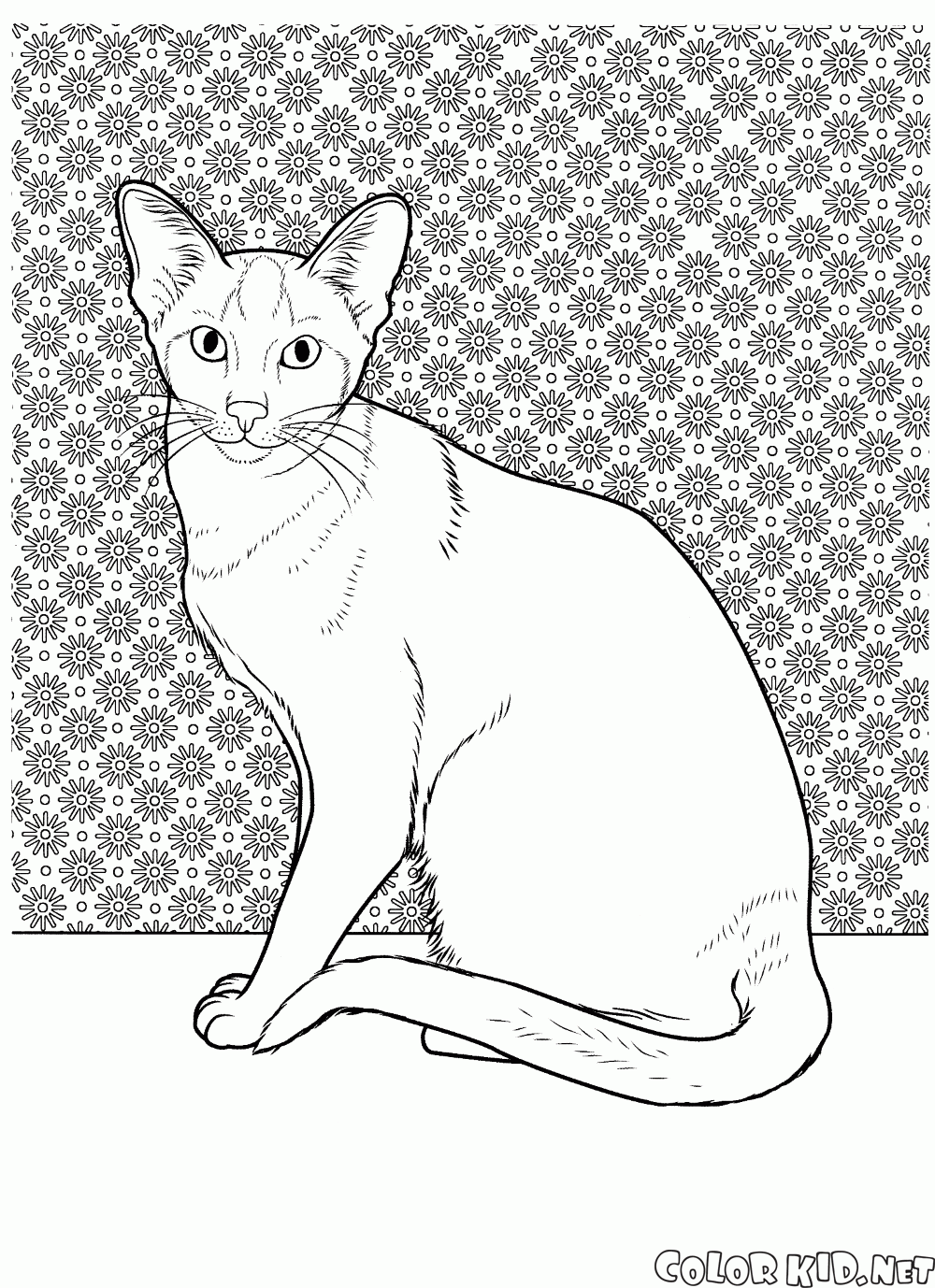 Desenhos para colorir de Gatos para crianças - Gatos - Coloring