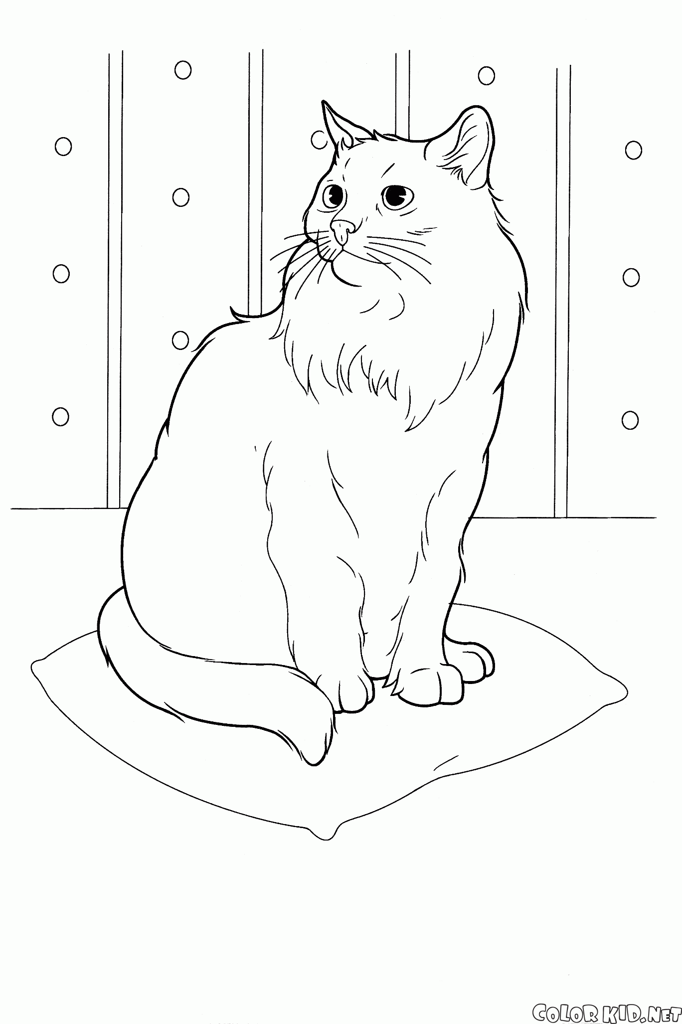 Desenhos para colorir de Gatos para crianças - Gatos - Coloring