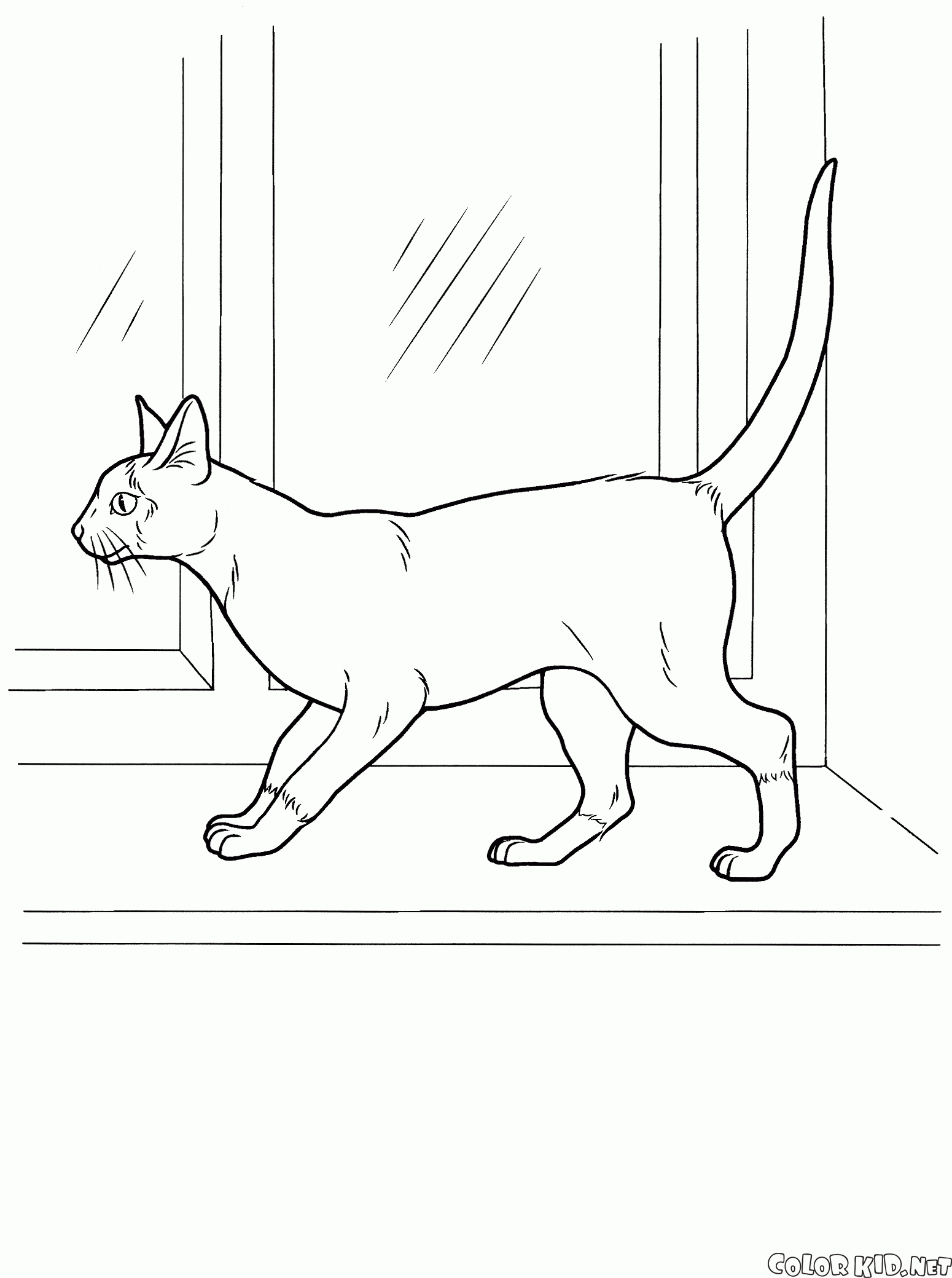 COMO DESENHAR UM GATO SIAMÊS 