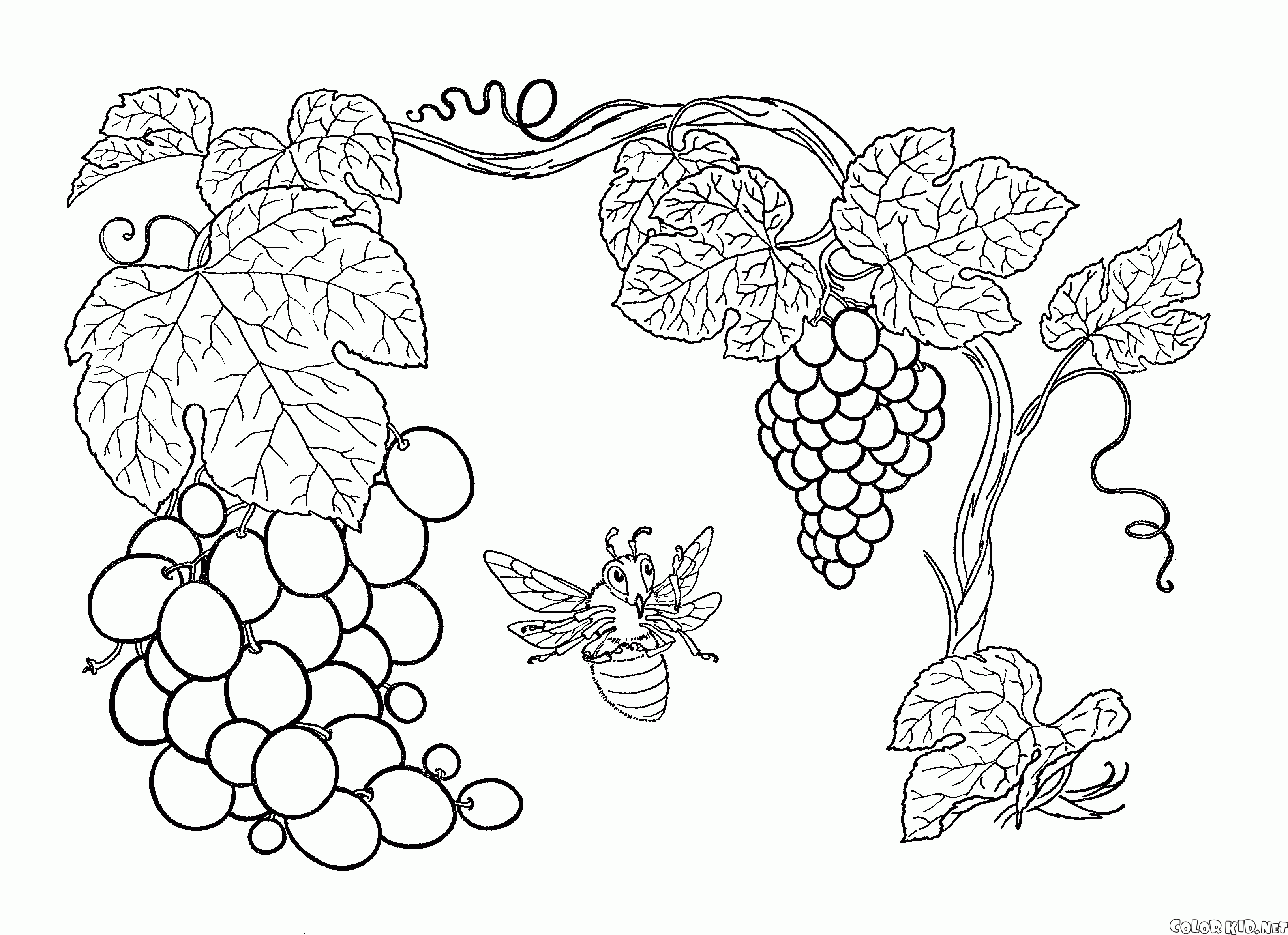 Desenhos para colorir  Vitarella - Tem diferença. Tem sabor.