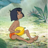 O Livro da Selva
