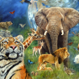World of animals