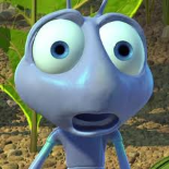 Uma Vida de Insecto