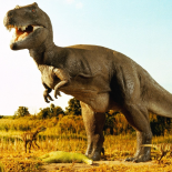 Dinossauros