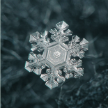 Flocos de neve
