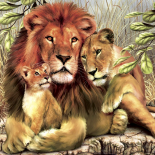 Animais selvagens
