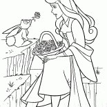 Princesa Aurora e da lebre