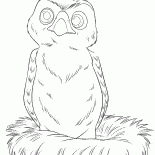 Pouco Hawk - Hannah