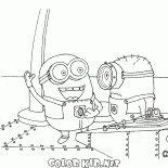 Engenheiro assecla