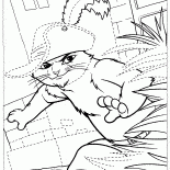 Puss in Boots na caça