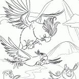 Perseguindo um pássaro