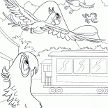 Jewel voa para longe