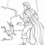 Floresta coelho