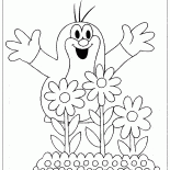 Mole e flores