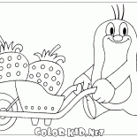 Mole e morangos