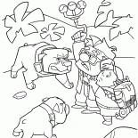 Cães cercar