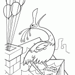 O pássaro no telhado