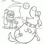 Doug gosta da bola