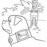 Doberman Collar