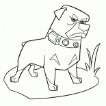 Cão irritado